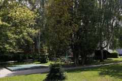 IMG-20210530-WA0001